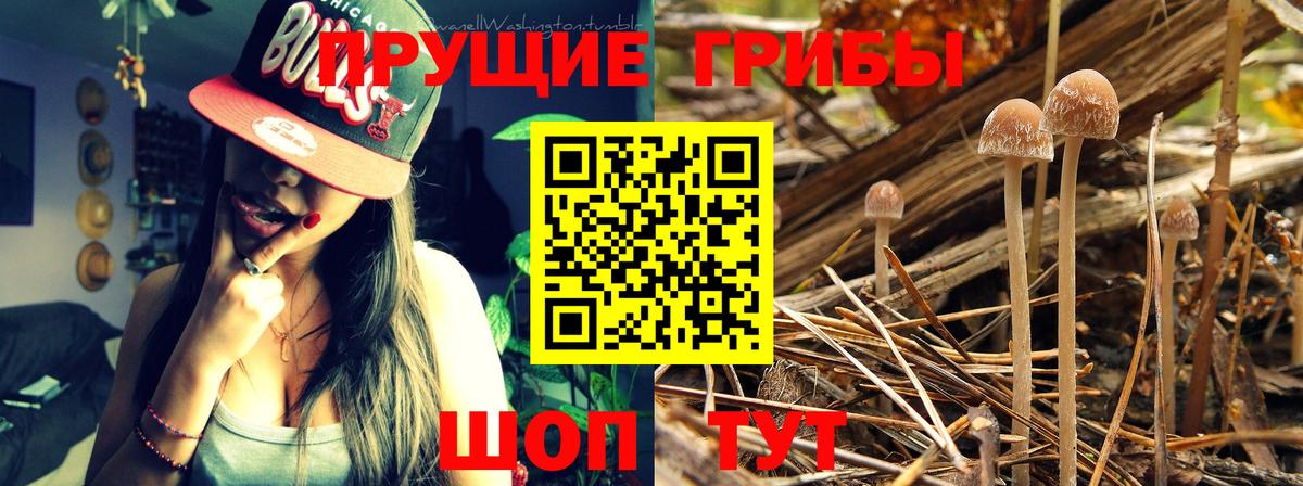 Кумертау  Галлюциногенные грибы Magic Shrooms  Псилоцибиновые грибы мицелий  Вход с VPN 